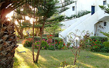 Foto Hotel Aloi in Chersonissos ( Heraklion Kreta)